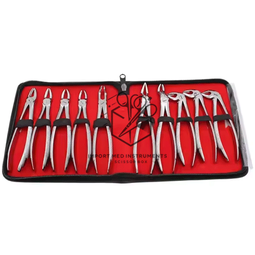 10pcs/set Adult Tooth Extracting Forceps Pliers for Adults with Tool kits